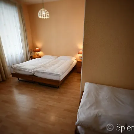 Splendid Hotel 3*