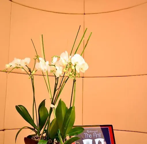 Splendid 3* Монтрё