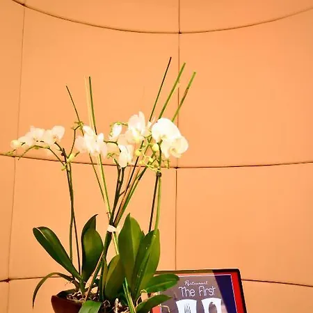 Splendid 3* Montreux